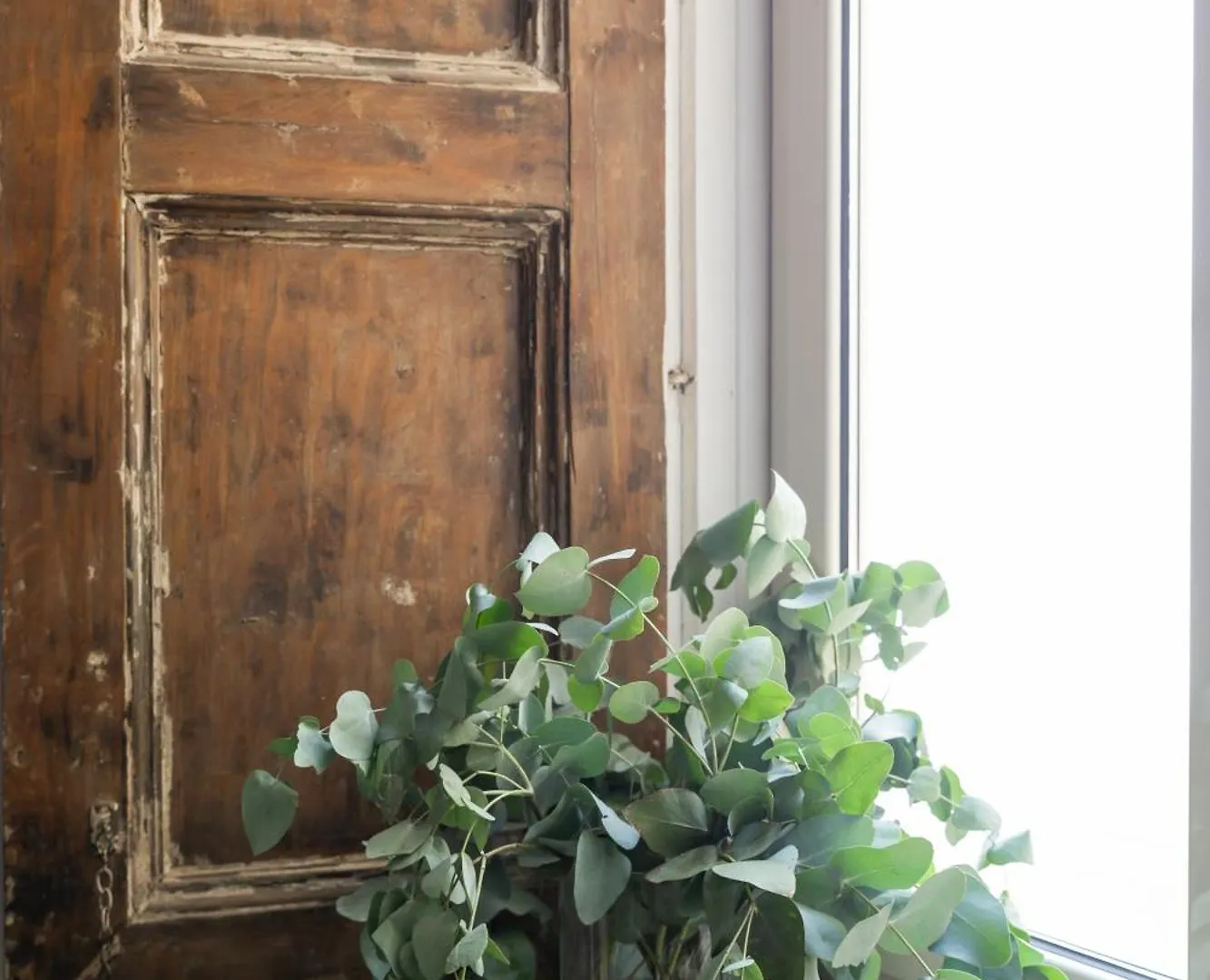 Casa Dei Mille Napoli Apartment